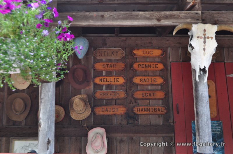 Canada2017_2254__DSC_0315