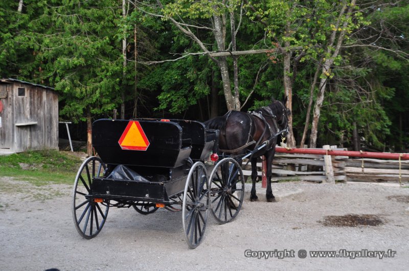Canada2017_2255__DSC_0316