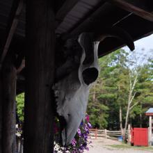 Canada2017_2258__DSC_0319