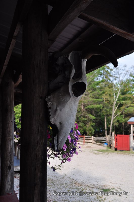 Canada2017_2258__DSC_0319