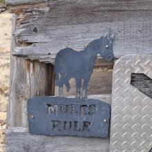 Canada2017_2259__DSC_0320