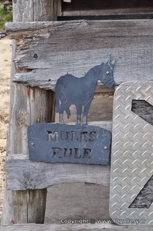 Canada2017_2259__DSC_0320