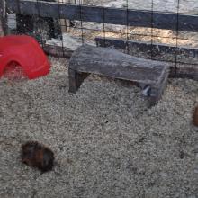 Canada2017_2260__DSC_0321