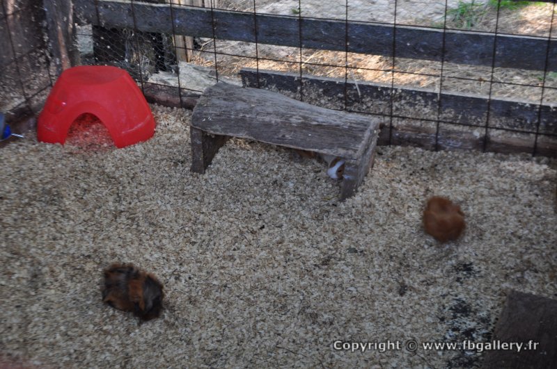 Canada2017_2260__DSC_0321