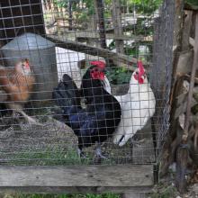 Canada2017_2261__DSC_0322