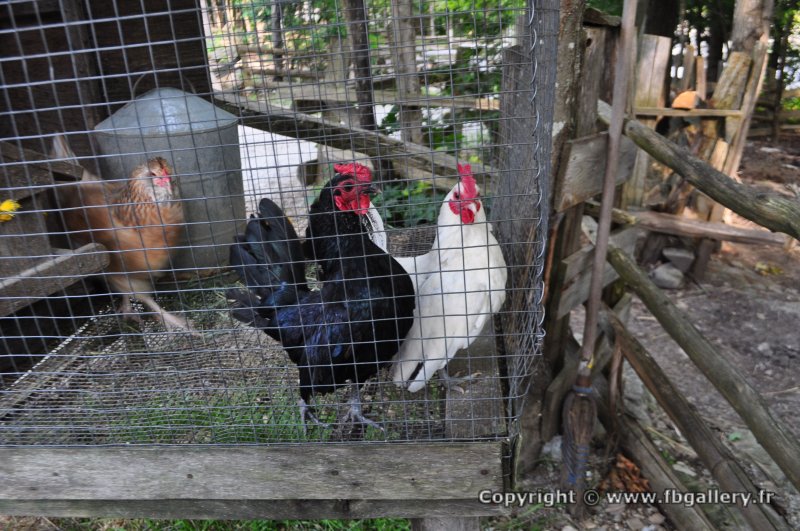 Canada2017_2261__DSC_0322