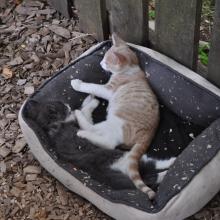Canada2017_2262__DSC_0323
