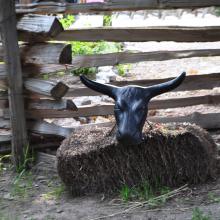 Canada2017_2265__DSC_0326