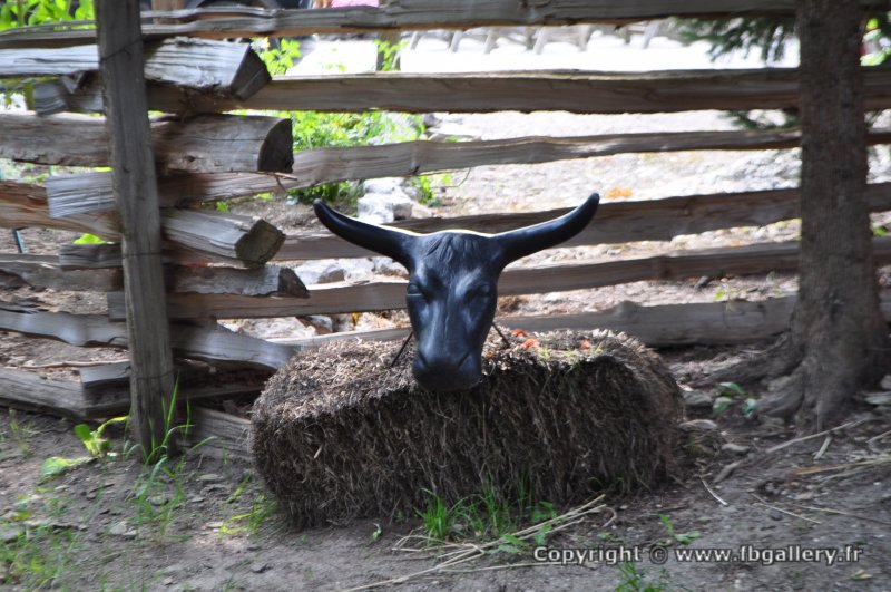 Canada2017_2265__DSC_0326