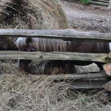 Canada2017_2267__DSC_0328