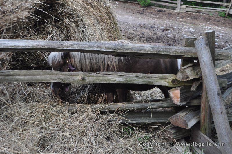 Canada2017_2267__DSC_0328