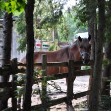 Canada2017_2269__DSC_0330
