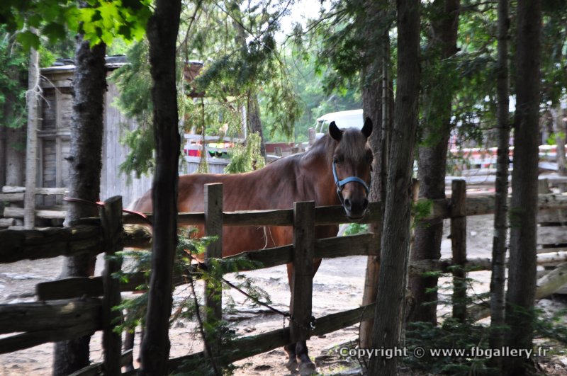 Canada2017_2269__DSC_0330