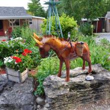 Canada2017_2272__DSC_0333