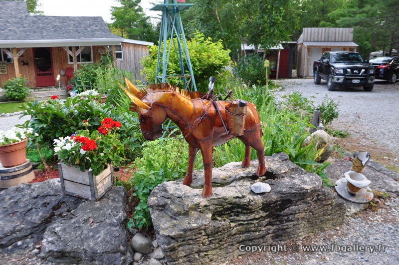 Canada2017_2272__DSC_0333