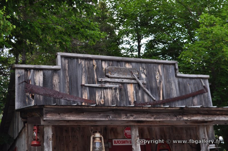 Canada2017_2273__DSC_0334