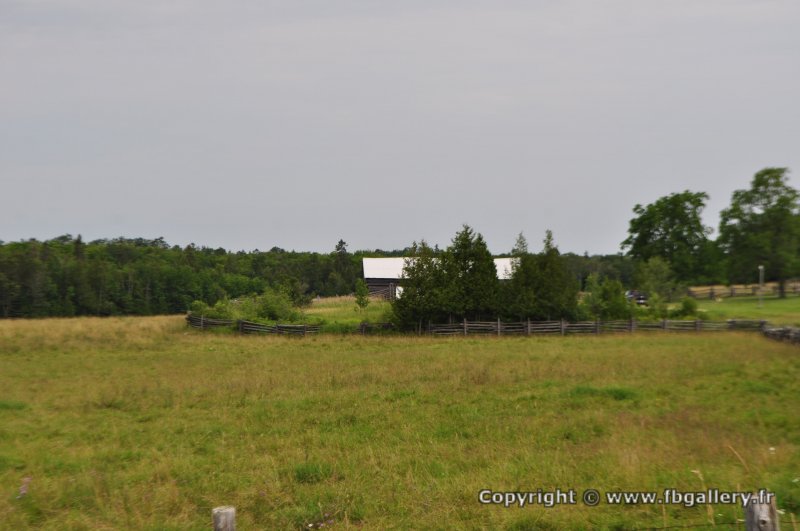 Canada2017_2280__DSC_0342