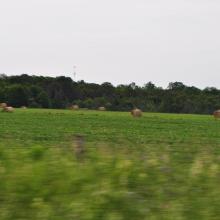 Canada2017_2283__DSC_0345