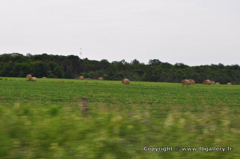 Canada2017_2283__DSC_0345