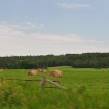 Canada2017_2296__DSC_0358