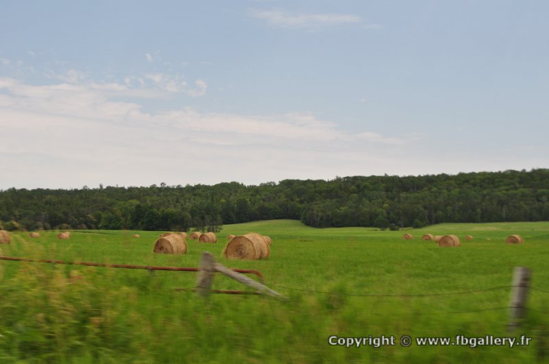 Canada2017_2296__DSC_0358