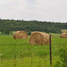 Canada2017_2301__DSC_0364