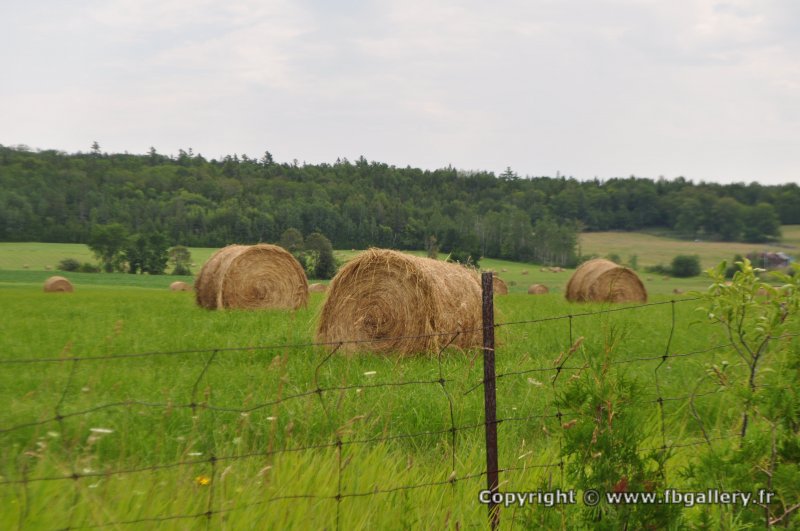 Canada2017_2301__DSC_0364