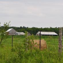 Canada2017_2302__DSC_0365