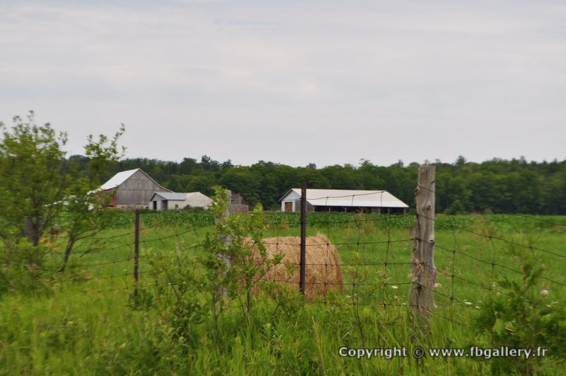 Canada2017_2302__DSC_0365
