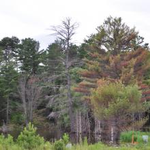 Canada2017_2347__DSC_0412
