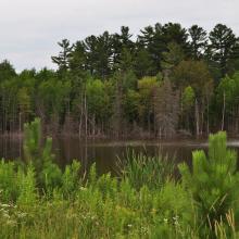 Canada2017_2352__DSC_0417