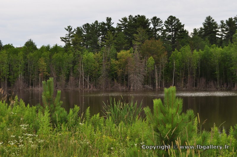 Canada2017_2352__DSC_0417