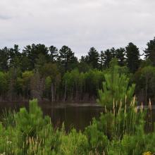 Canada2017_2354__DSC_0419