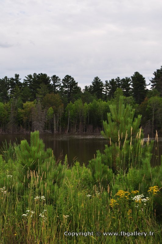 Canada2017_2354__DSC_0419