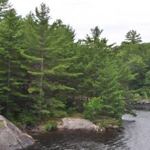 Canada2017_2384__DSC_0450