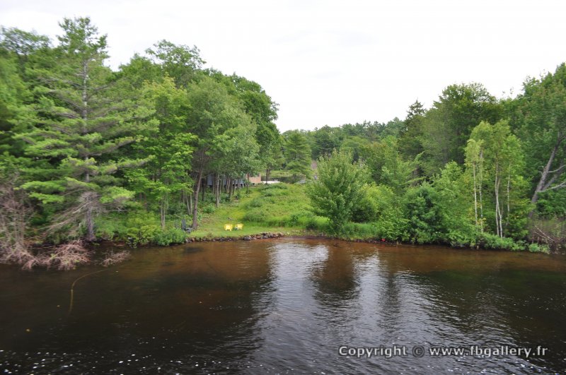 Canada2017_2387__DSC_0453