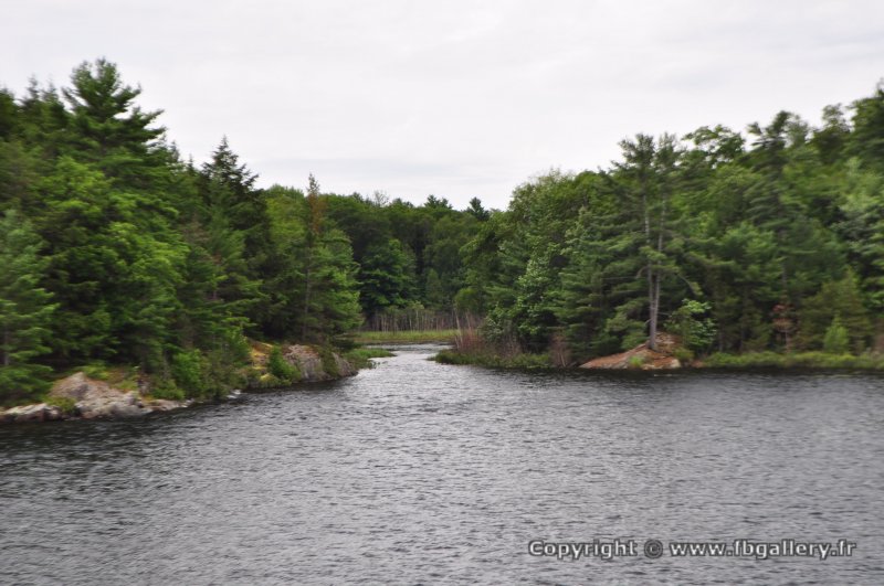 Canada2017_2432__DSC_0498