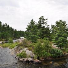 Canada2017_2439__DSC_0505