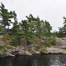 Canada2017_2461__DSC_0527
