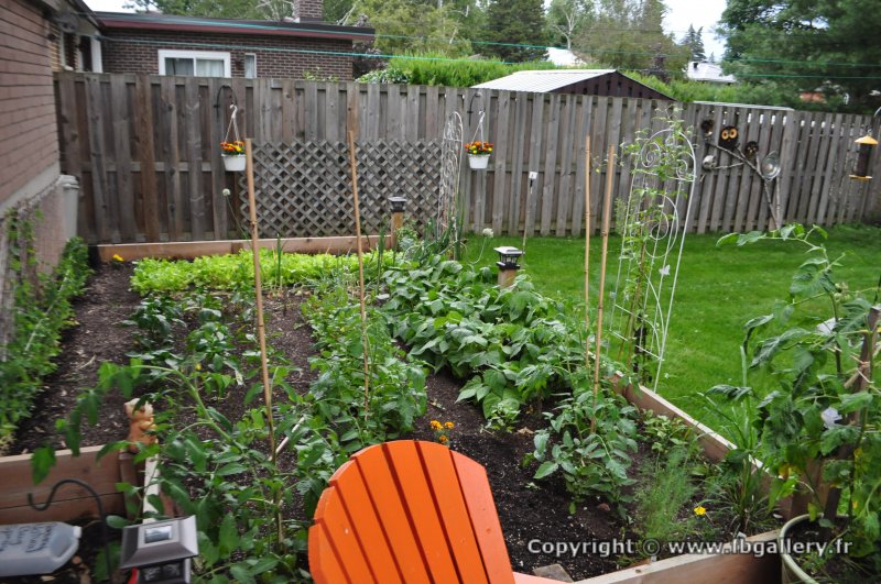 Canada2017_2600__DSC_0668