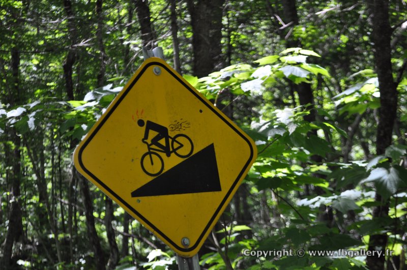 Canada2017_0015__DSC_0018