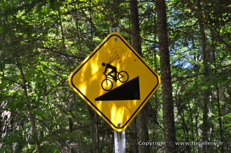 Canada2017_0016__DSC_0019