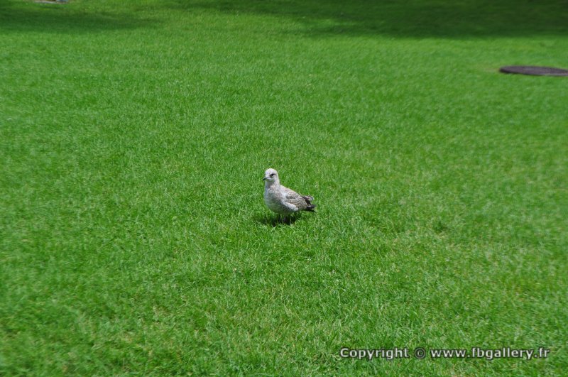 Canada2017_1884__DSC_1049