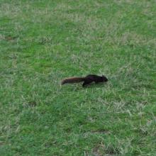 Canada2017_1914__DSC_1081