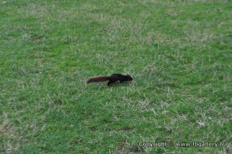 Canada2017_1914__DSC_1081