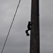 Canada2017_2597__DSC_0665