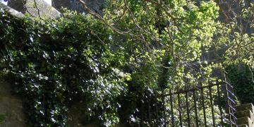 Cité de Carcassonne