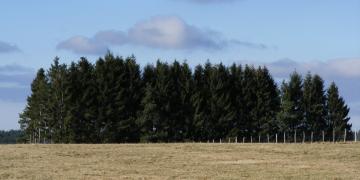 Parc naturel des volcans d'Auvergne