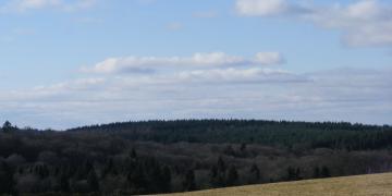 Parc naturel des volcans d'Auvergne
