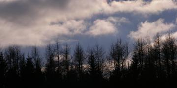 Parc naturel des volcans d'Auvergne